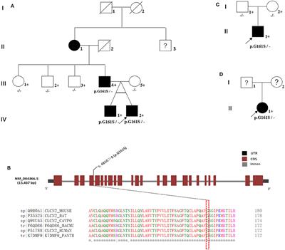 A Rare Novel CLCN2 Variation and Risk of Gilles de la Tourette Syndrome: Whole-Exome Sequencing in a Multiplex Family and a Follow-Up Study in a Chinese Population